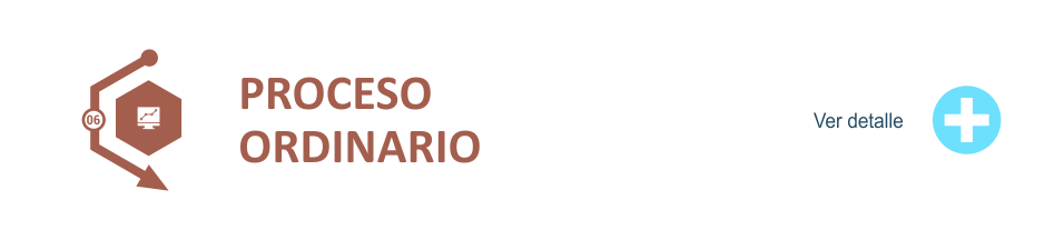 PASO 6