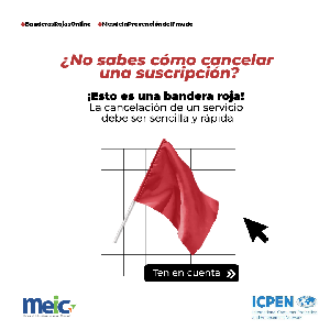 ICPEN_PatronesOscuros_Pieza5carrusel1.png